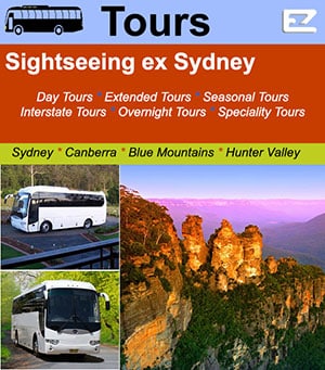 EZ Bus Hire